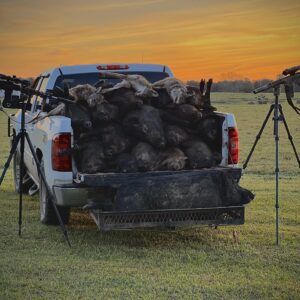 Enhancing Nighttime Predator Control: The Superiority of Thermal Scopes for Hunting Hogs and Coyotes 1 Hog Hunting with Thermals