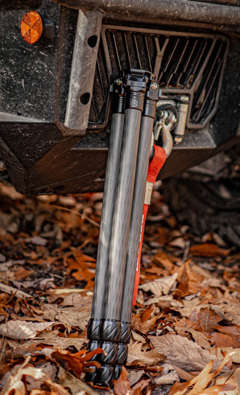 A close up of the side of a vehicle with leaves