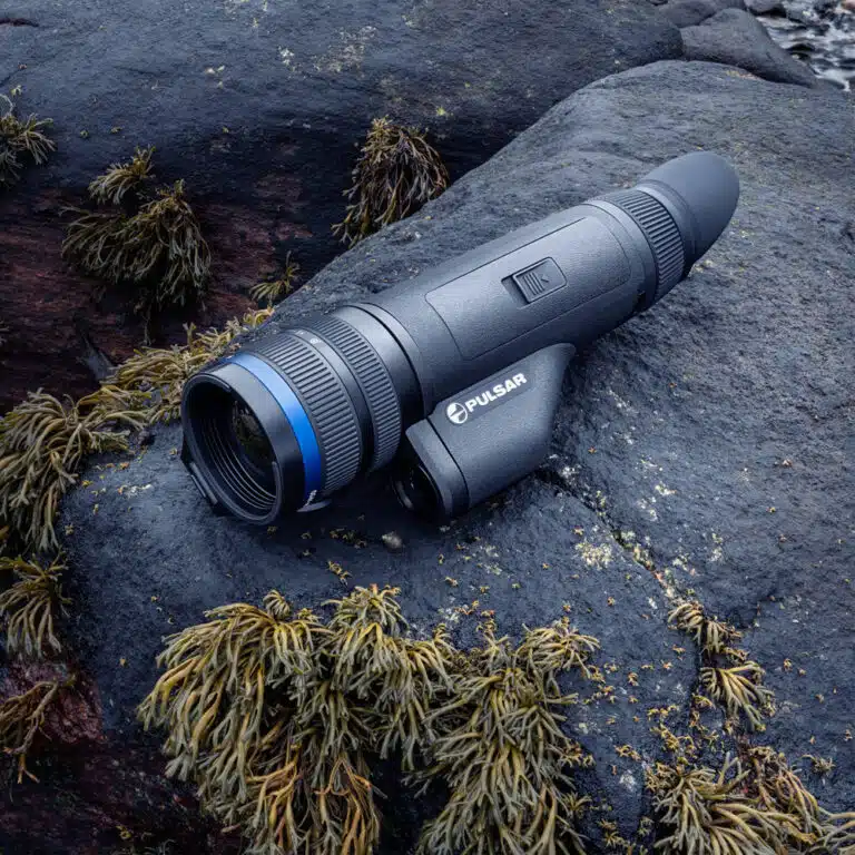 A camera lying on the ground next to some bushes