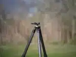 A tripod is standing in the grass near some trees.