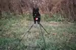 A black cat is sitting on top of a tripod.